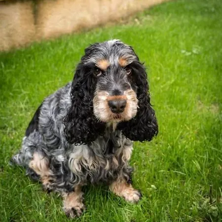 La Bastide Avec Piscine Privee, Petanque Et Climatisation * Cours-de-Pile