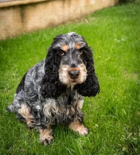 La Bastide Avec Piscine Privee, Petanque Et Climatisation * Cours-de-Pile
